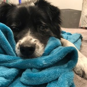 Meet your Posher, Sophia